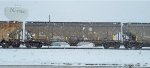 IC 799580
